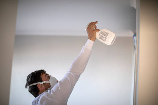 Best Best Mold Removal Companies  in New Castle, CO