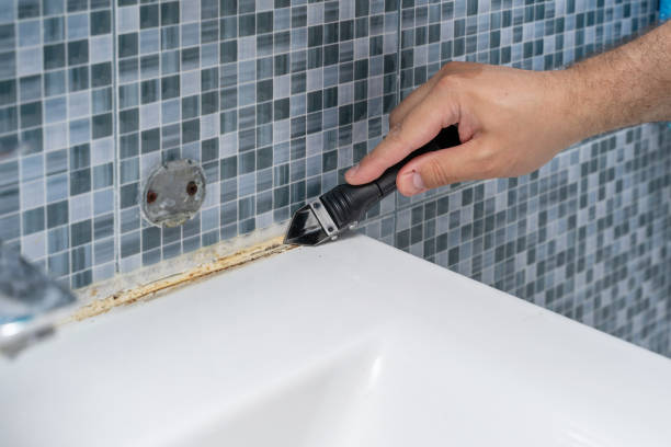 Best Certified Mold Removal  in New Castle, CO