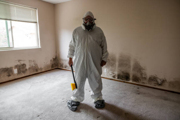 Best Crawl Space Mold Removal  in New Castle, CO